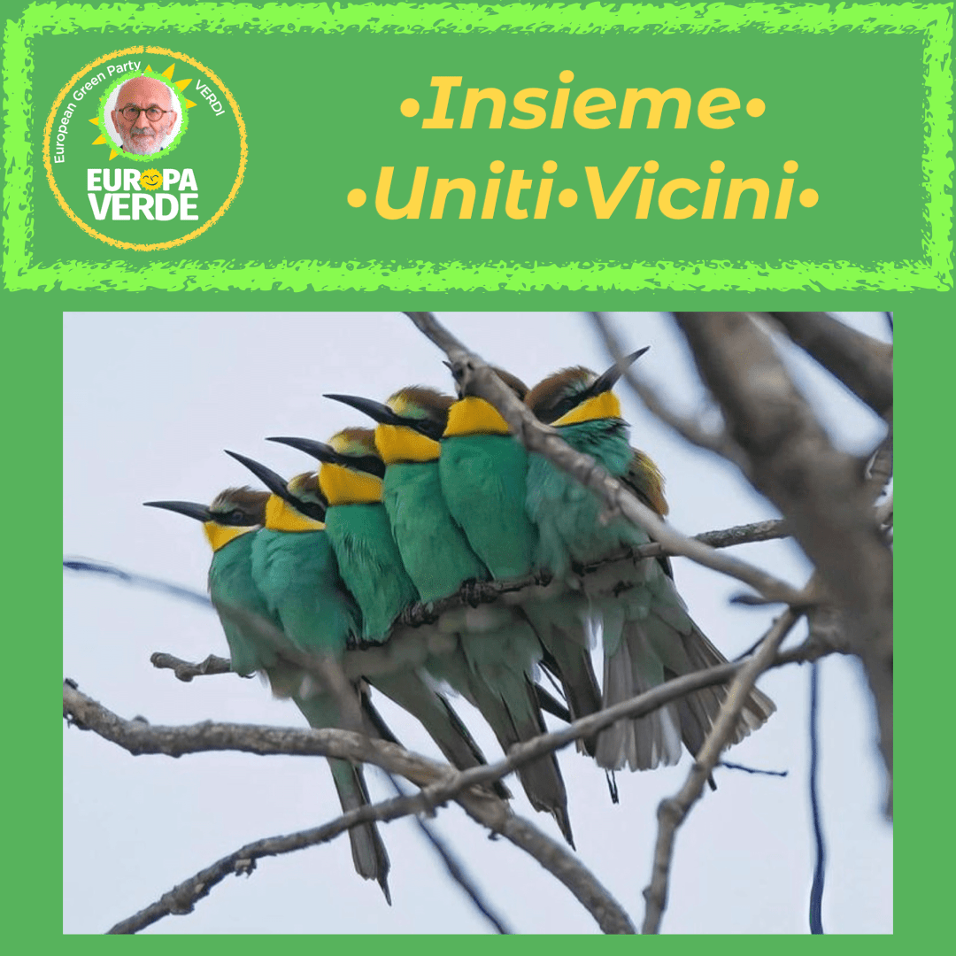 Insieme Uniti Vicini