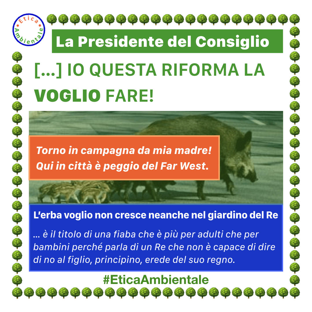 La Presidente del Consiglio