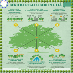 Tiny Forest - Micro foreste urbane