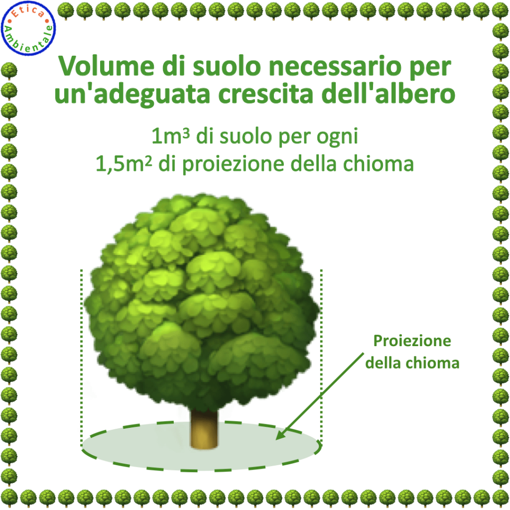 Volume di suolo necessario per un'adeguata crescita dell'albero.